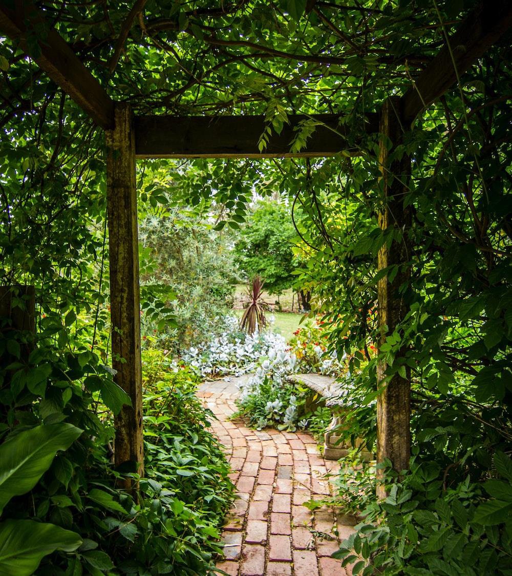 DLF Arbour